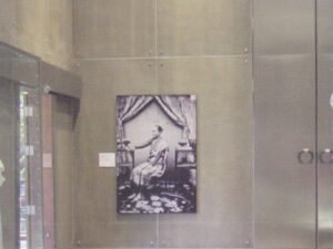 Cement Board Catalogue